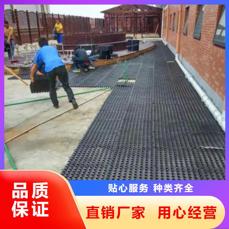 塑料排水板_鋼塑土工格柵精挑細(xì)選好貨