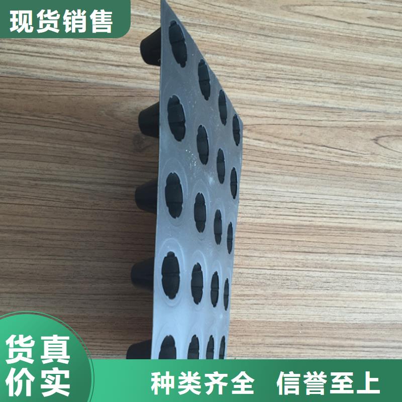 塑料排水板雙向塑料土工格柵設(shè)計(jì)合理
