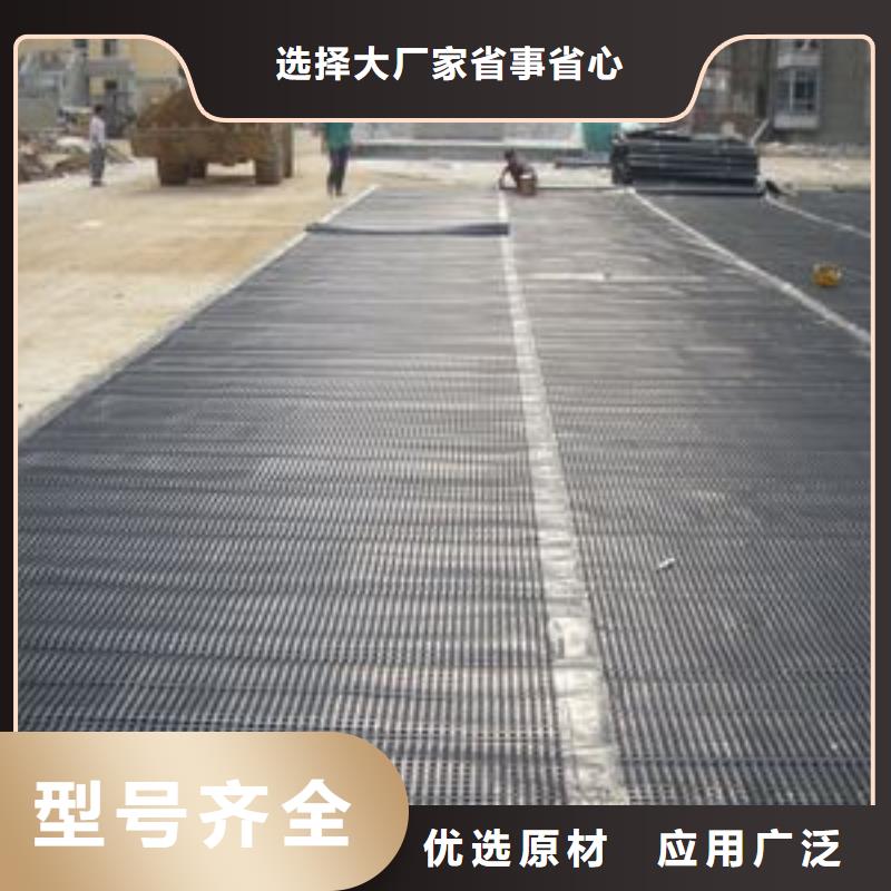 塑料排水板三維土工網(wǎng)墊匠心品質(zhì)