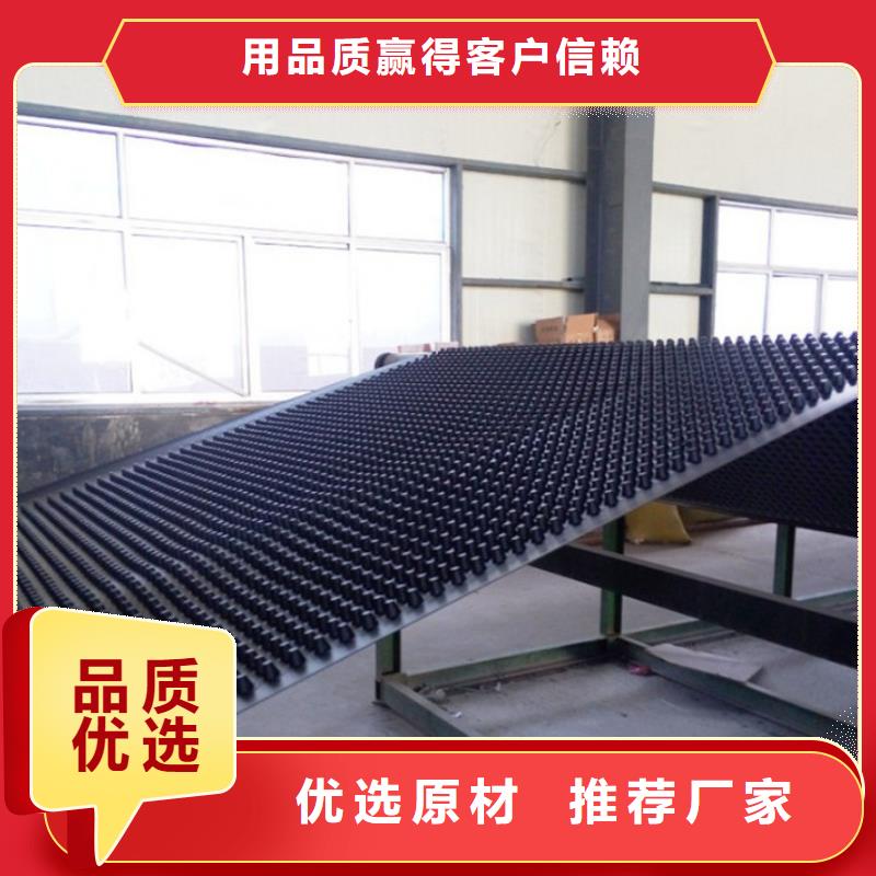 塑料排水板三維水土保護(hù)毯精益求精