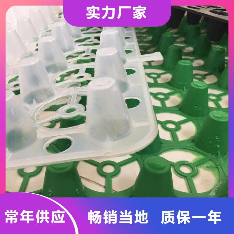 塑料排水板玻纖土工格柵擁有多家成功案例