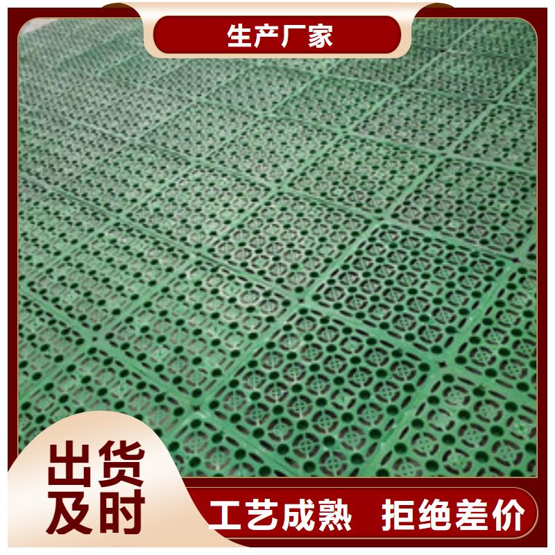 塑料排水板膨潤土防水墊顏色尺寸款式定制
