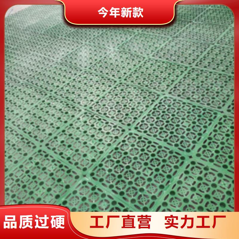塑料排水板-土工布價格質(zhì)量無憂