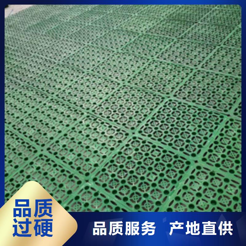 塑料排水板三維水土保護(hù)毯精選貨源