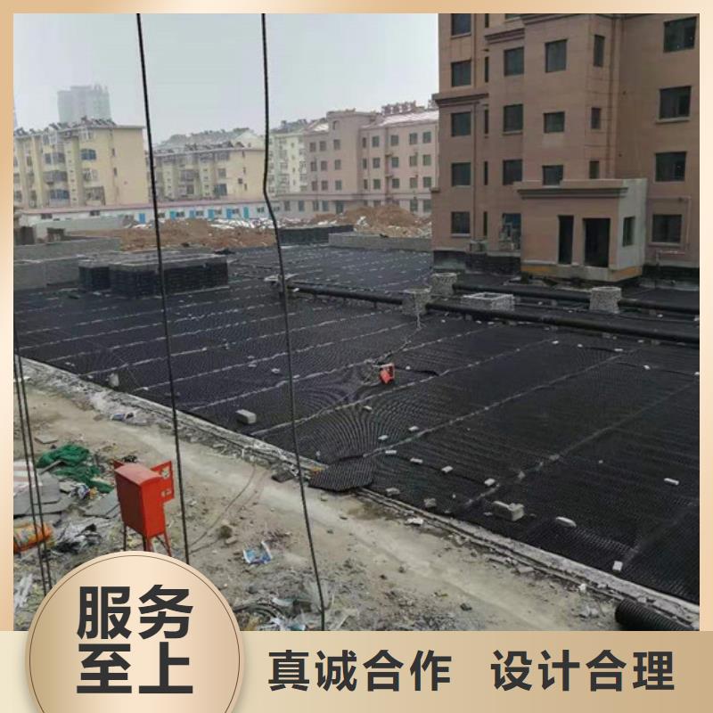 塑料排水板凸结点钢塑土工格栅按需定制真材实料