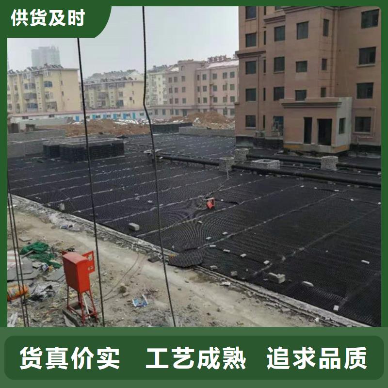 塑料排水板玻纖土工格柵擁有多家成功案例