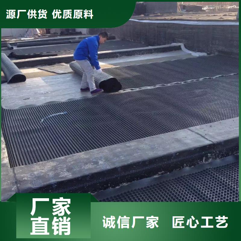 塑料排水板三維水土保護(hù)毯精選貨源