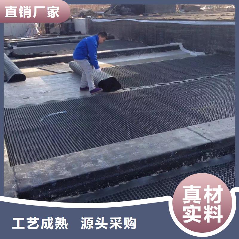 塑料排水板_土工格室實(shí)力商家