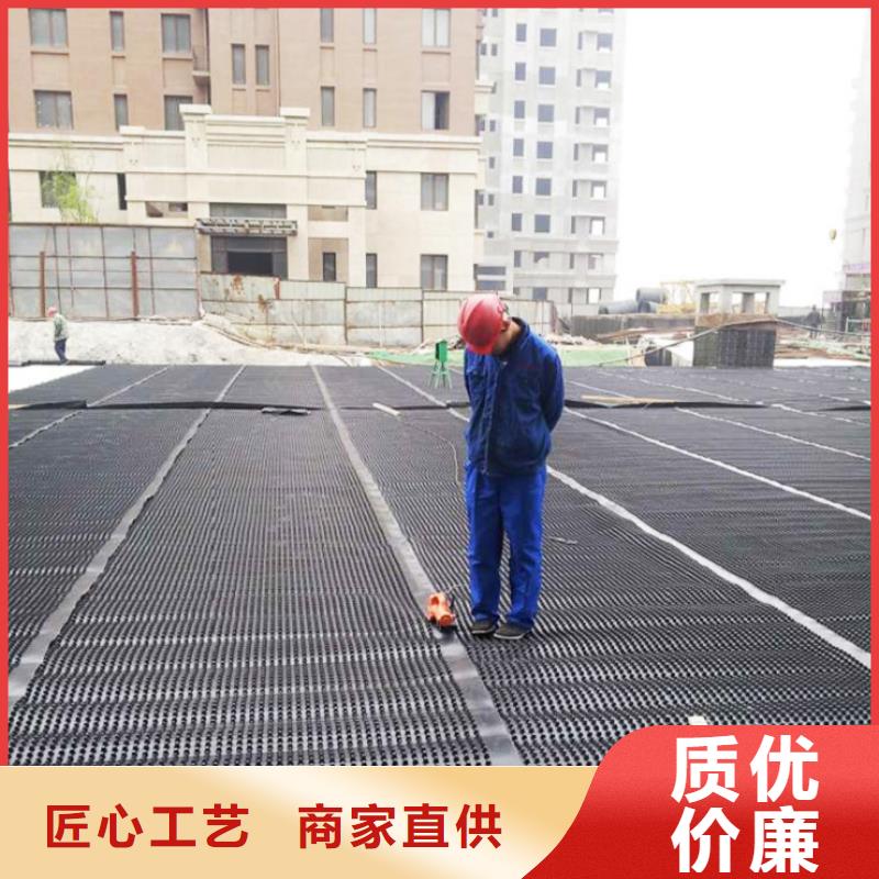 塑料排水板三维水土保护毯精益求精