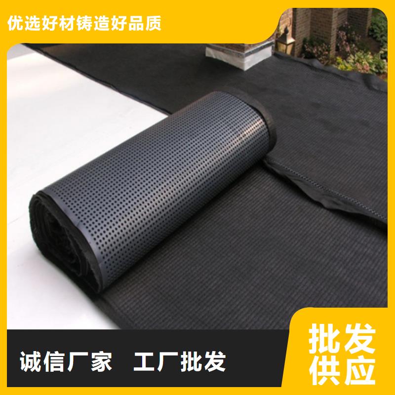 塑料排水板玻纤土工格栅拥有多家成功案例