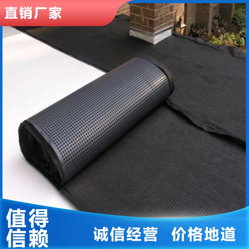 塑料排水板三維水土保護(hù)毯精益求精