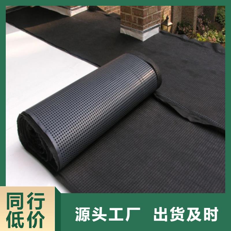 塑料排水板滌綸土工格柵實力商家供貨穩(wěn)定