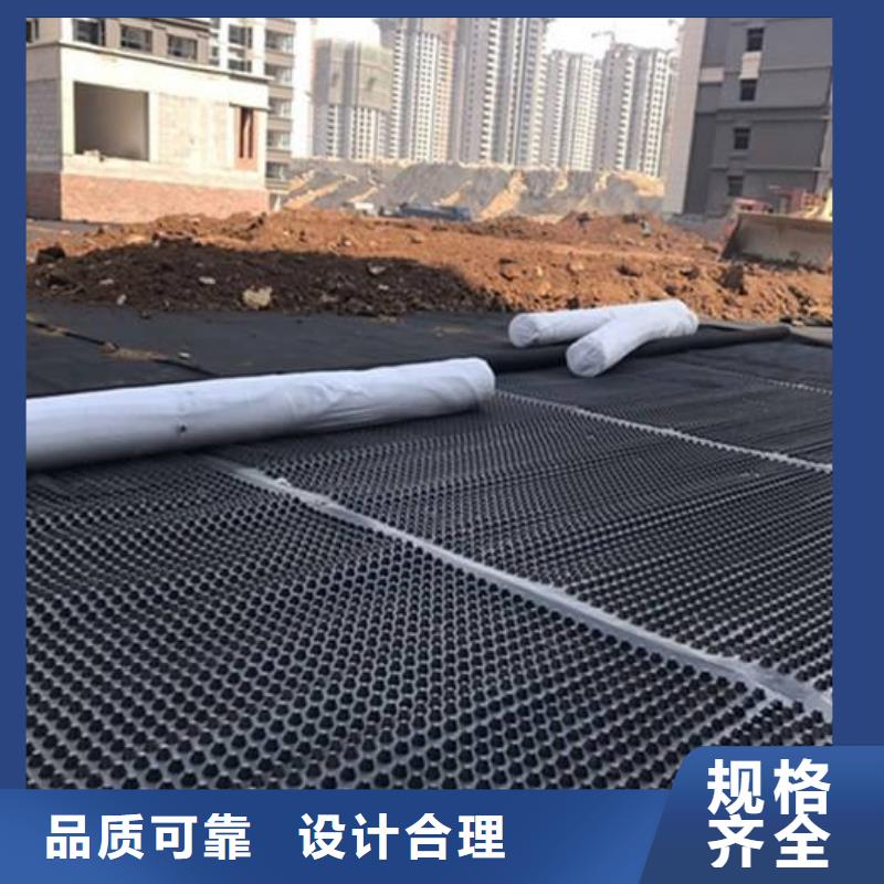 塑料排水板_凸结点钢塑土工格栅以质量求生存