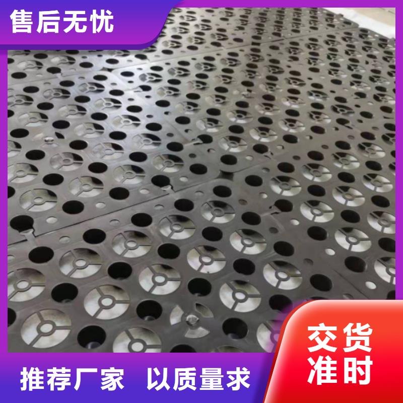 塑料排水板_土工格室實(shí)力商家