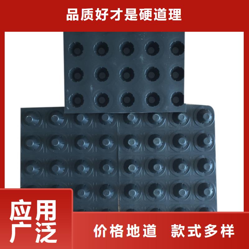 塑料排水板三維水土保護(hù)毯精選貨源