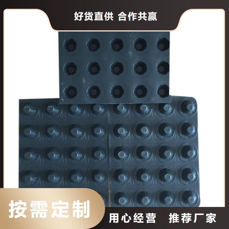 塑料排水板_鋼塑土工格柵精挑細(xì)選好貨