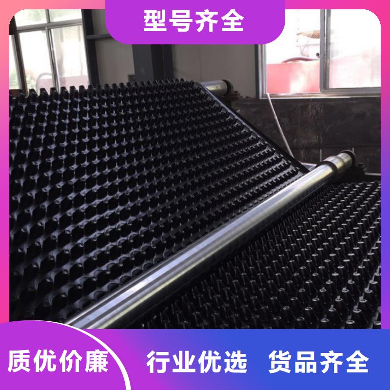 塑料排水板三維水土保護(hù)毯精選貨源