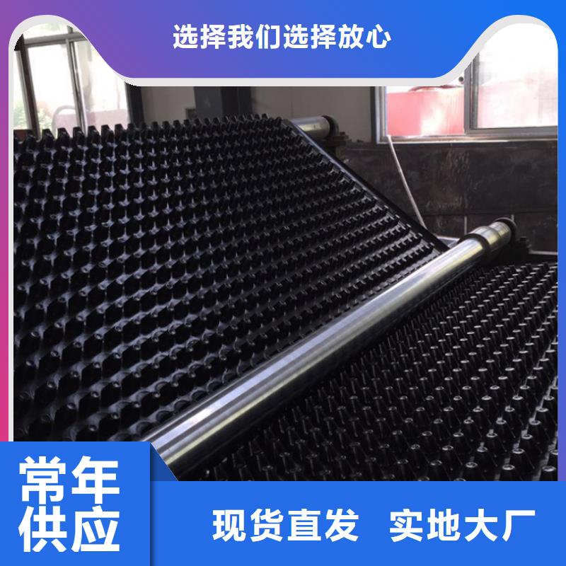 塑料排水板_土工格室實(shí)力商家