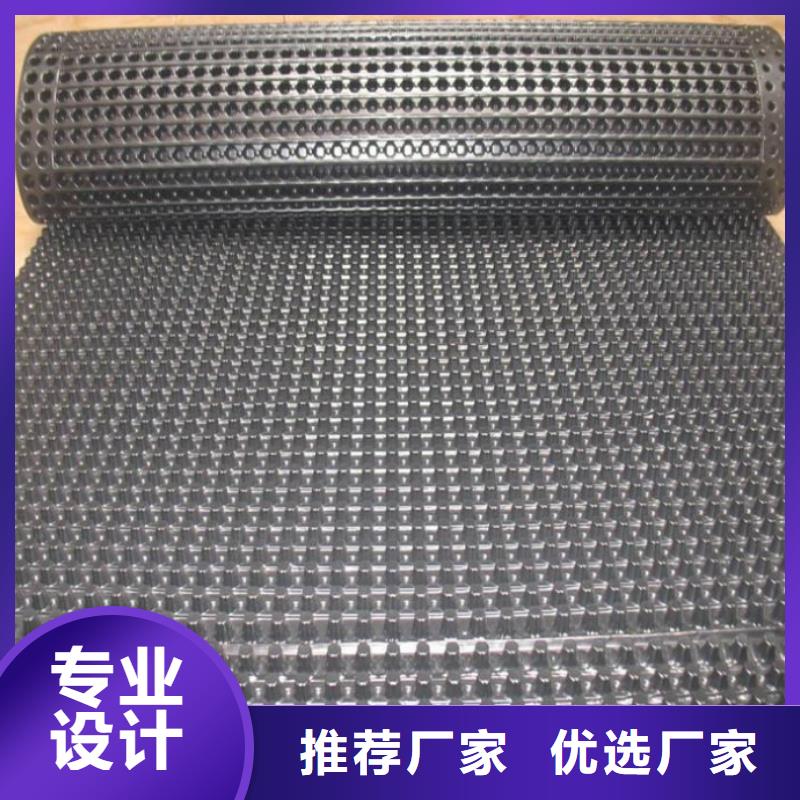 塑料排水板三維水土保護(hù)毯精選貨源