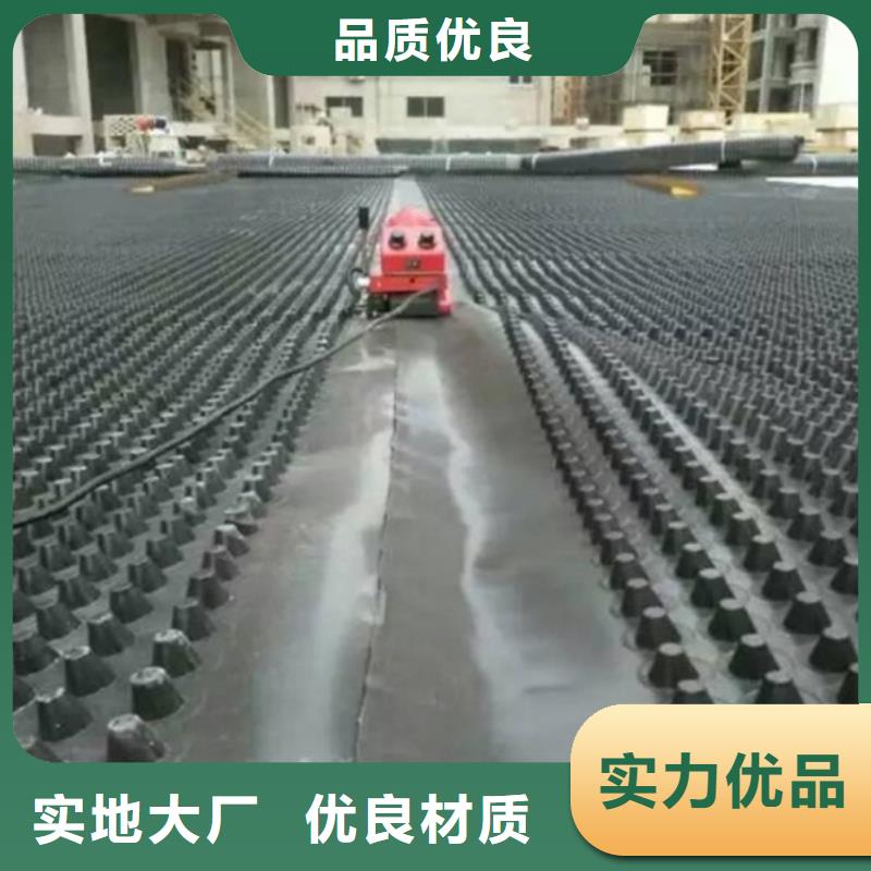塑料排水板三維水土保護(hù)毯精選貨源