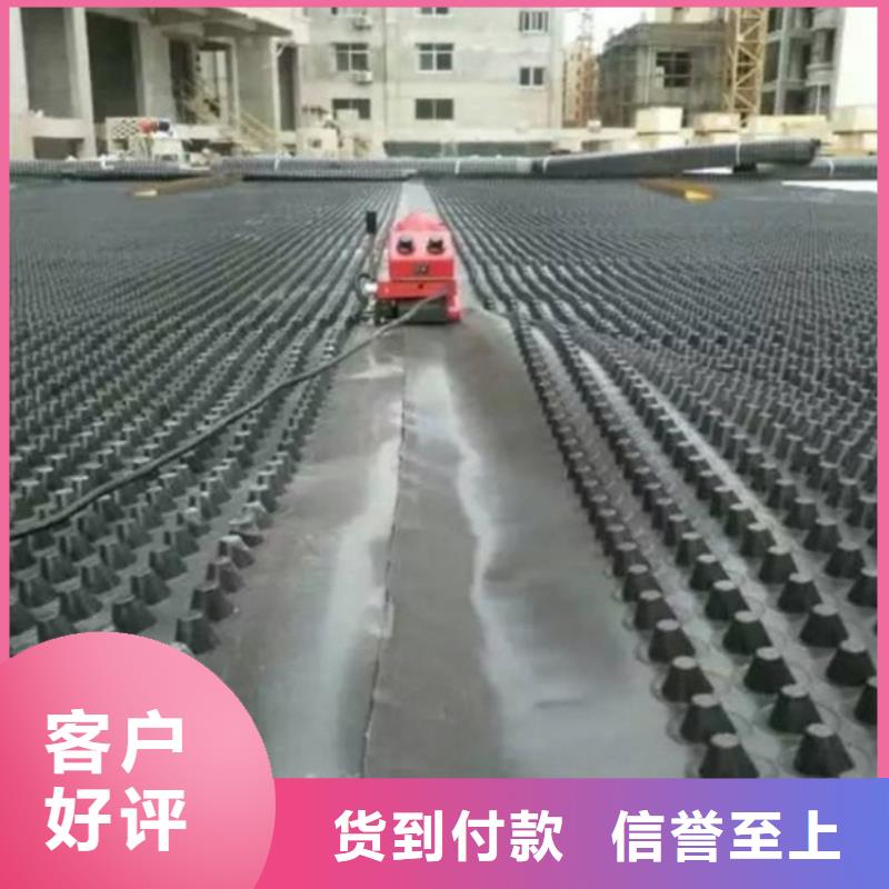 塑料排水板_鋼塑土工格柵精挑細(xì)選好貨