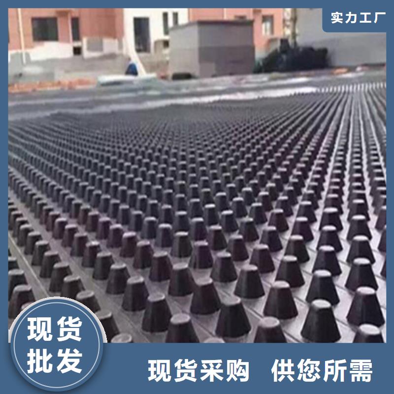 塑料排水板_土工格室實(shí)力商家