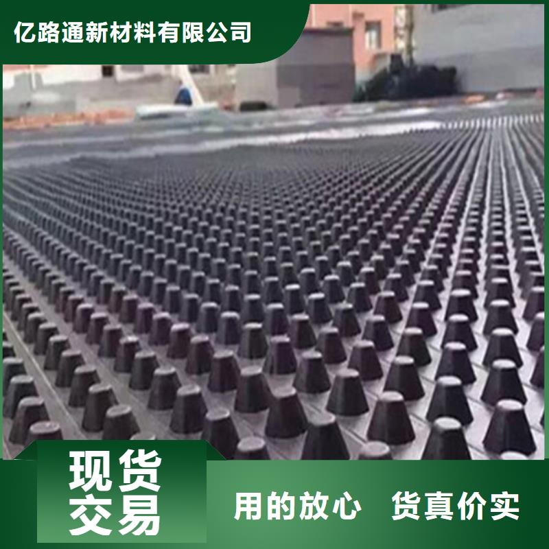 塑料排水板三維水土保護(hù)毯精選貨源