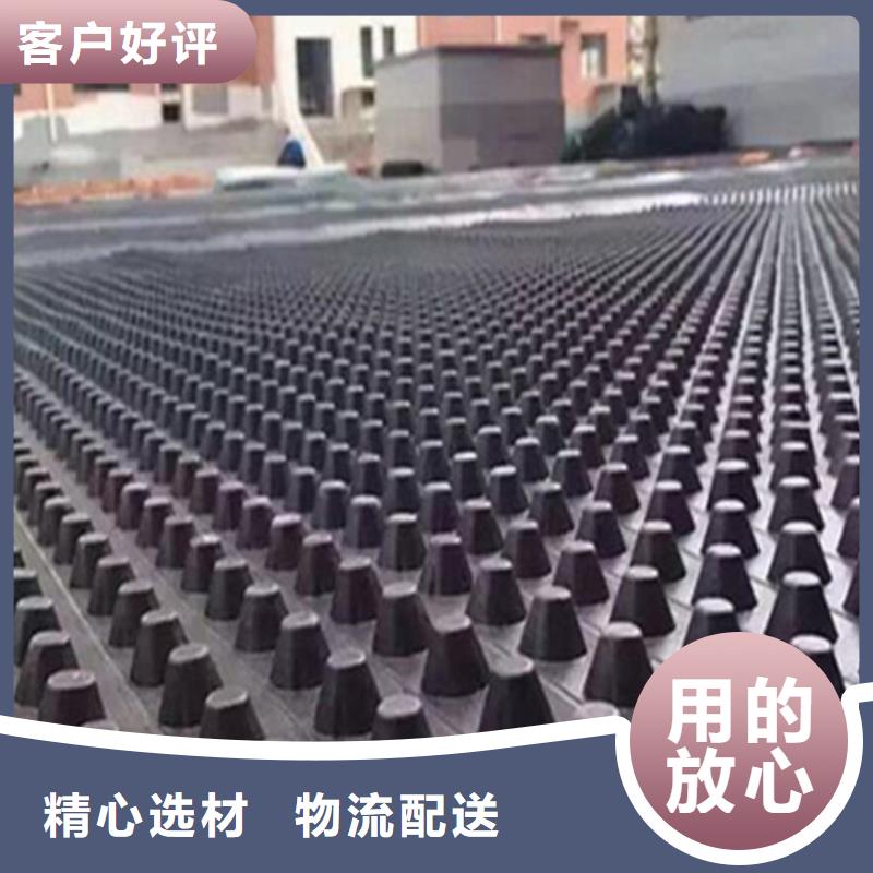 塑料排水板_土工格室實(shí)力商家