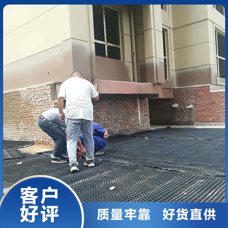 塑料排水板三維水土保護(hù)毯精選貨源
