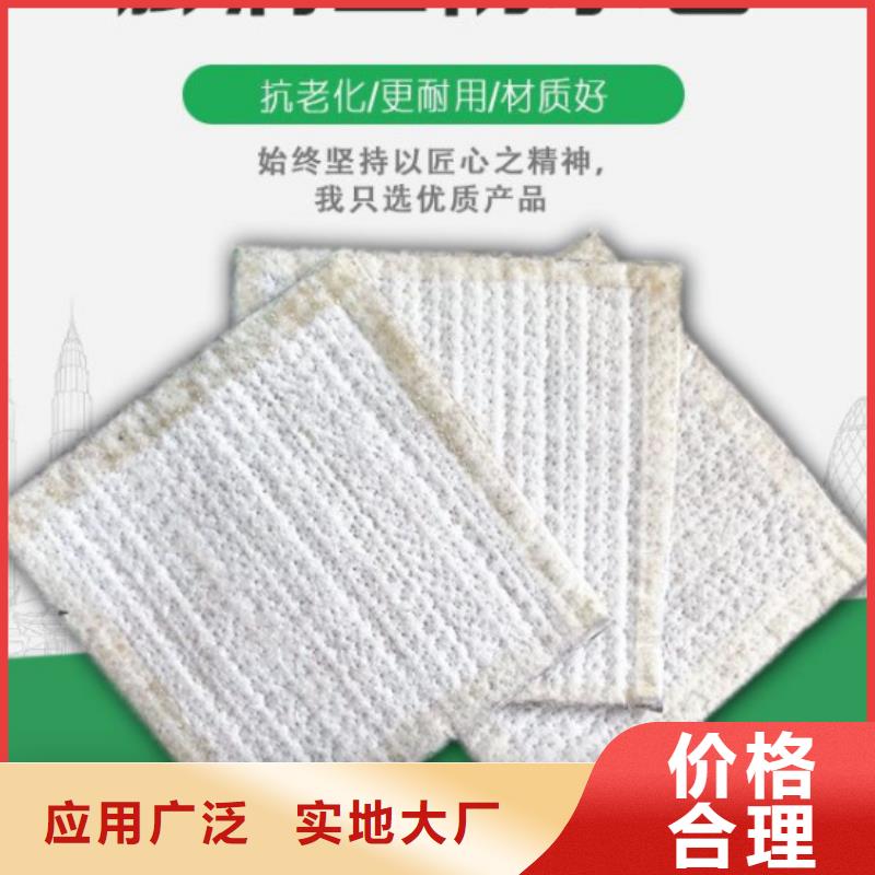 防水毯雙向塑料土工格柵多行業(yè)適用