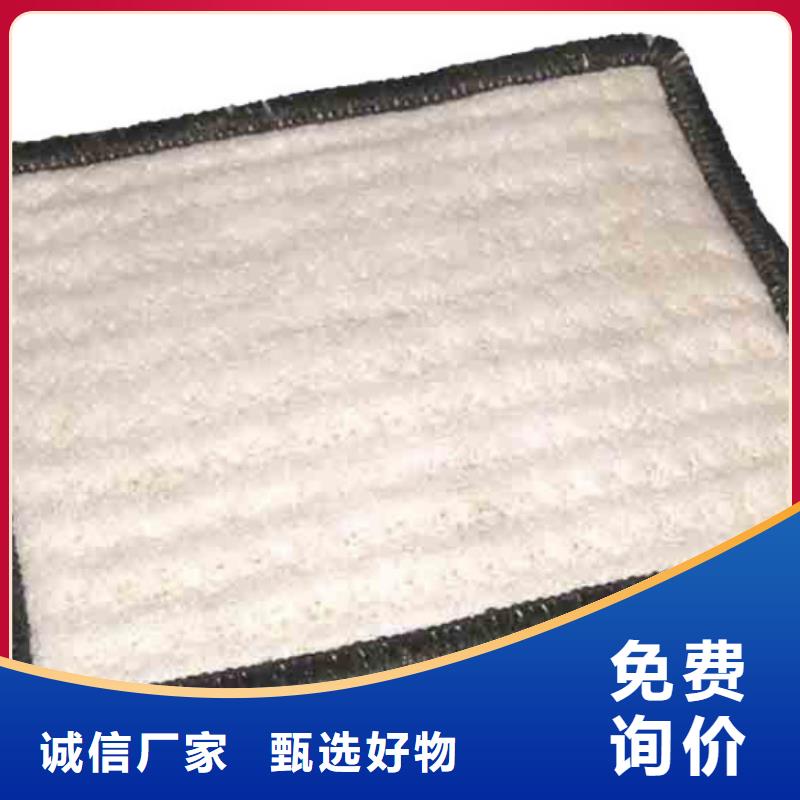 防水毯雙向塑料土工格柵買的放心安興用的舒心