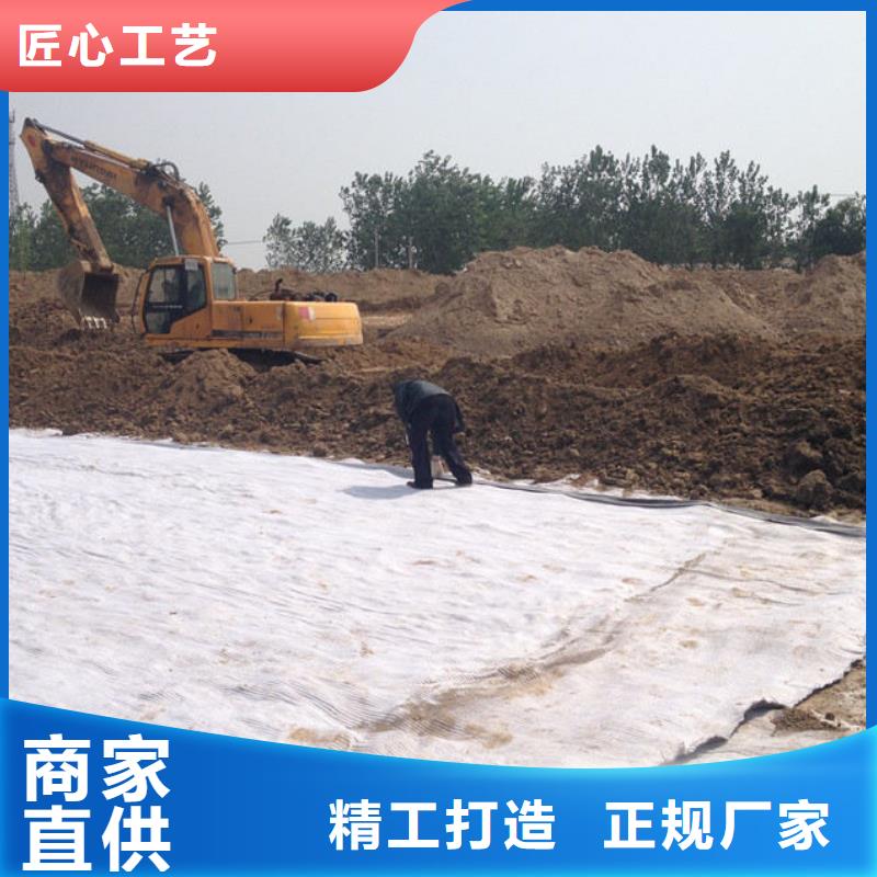 防水毯涤纶土工格栅源头把关放心选购