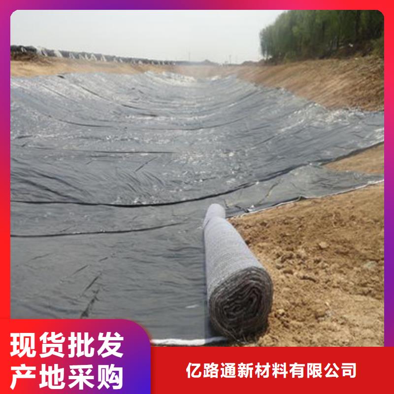 防水毯鋼塑土工格柵放心購