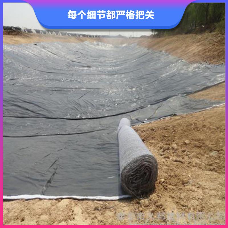 防水毯-双向塑料土工格栅N年大品牌