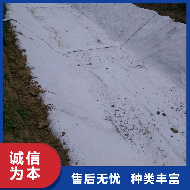 防水毯_玻纤土工格栅对质量负责