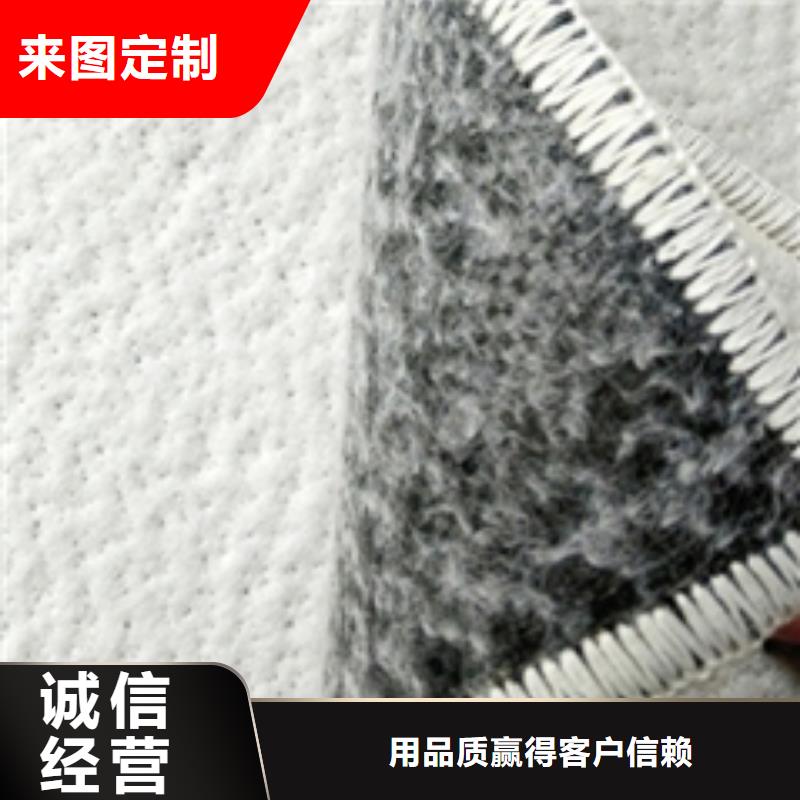 防水毯雙向塑料土工格柵多行業(yè)適用