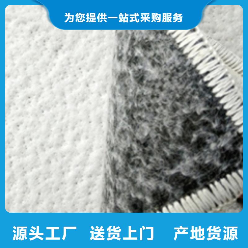 防水毯鋼塑土工格柵廠家多年經(jīng)驗(yàn)值得信賴