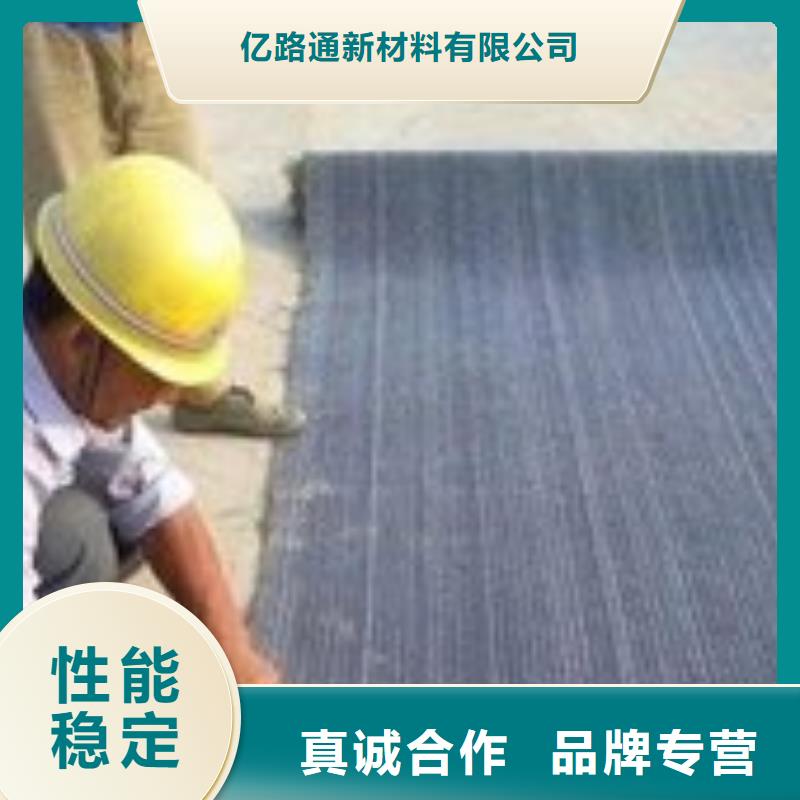 防水毯-三維土工網(wǎng)墊專注品質