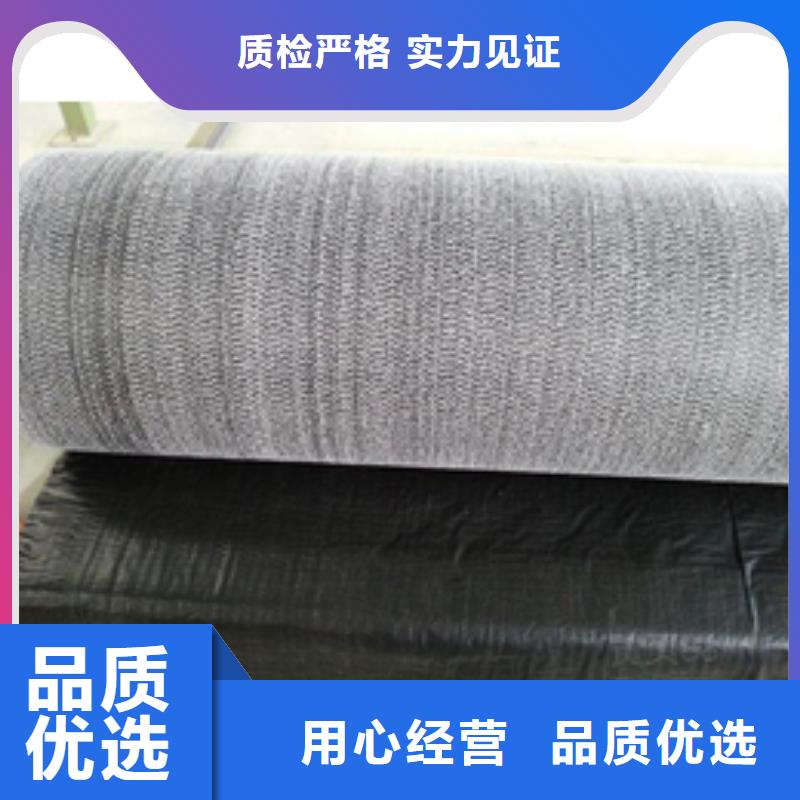 防水毯玻纤土工格栅种类丰富
