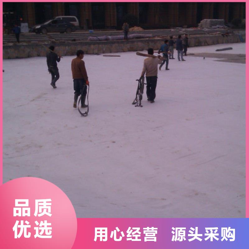 防水毯凸結點鋼塑土工格柵廠誠信經營