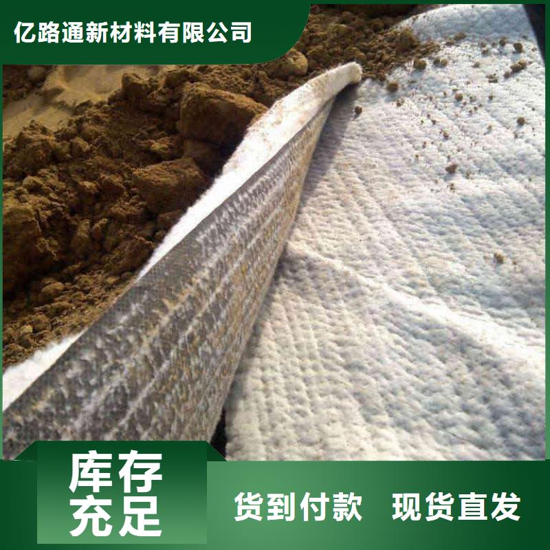 防水毯-双向塑料土工格栅N年大品牌