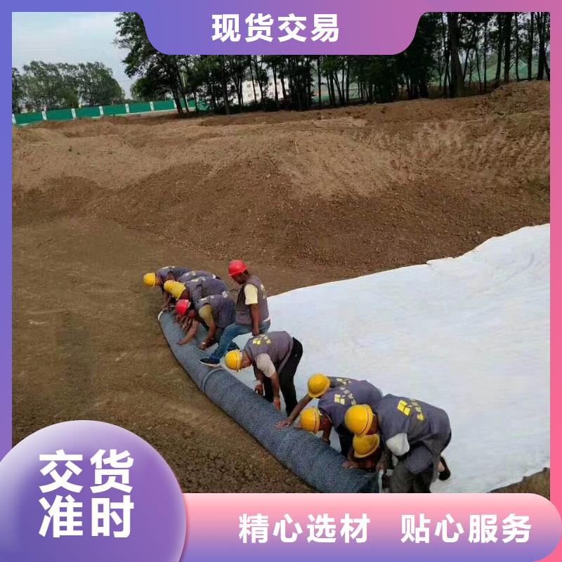 防水毯,玻纤土工格栅现货充足量大优惠