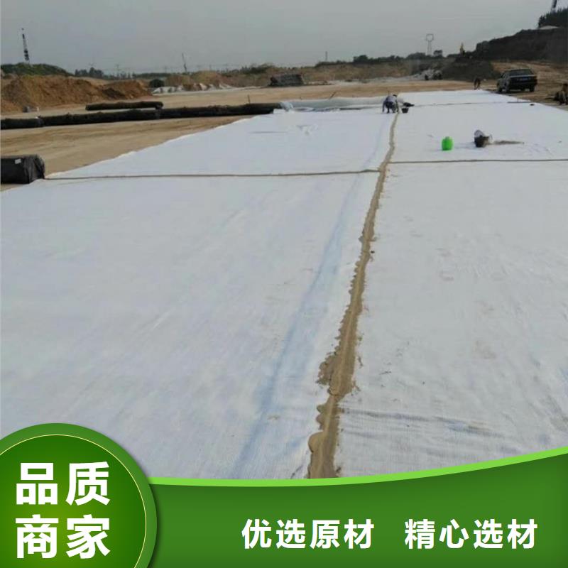 防水毯-双向塑料土工格栅N年大品牌