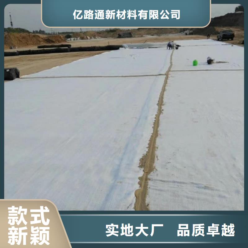 防水毯雙向塑料土工格柵買的放心安興用的舒心