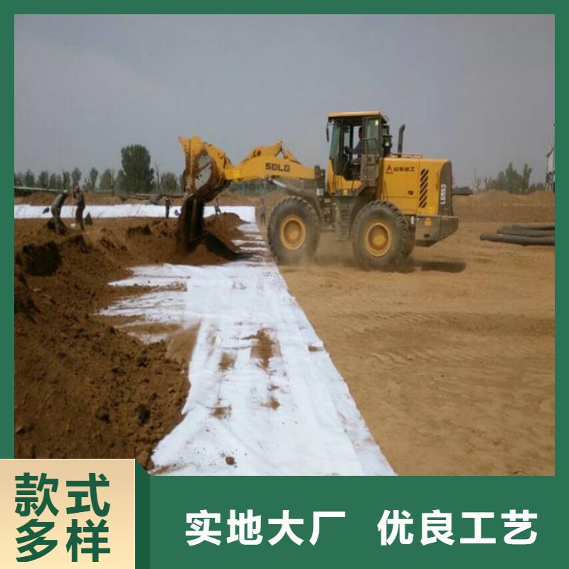 防水毯-双向塑料土工格栅N年大品牌