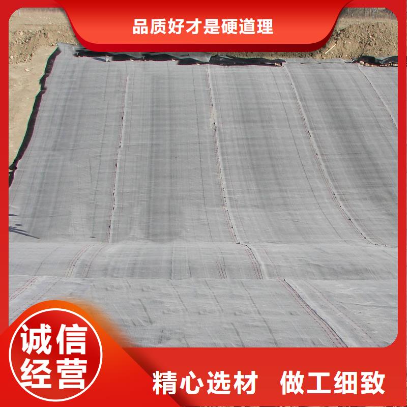 防水毯雙向塑料土工格柵買的放心安興用的舒心