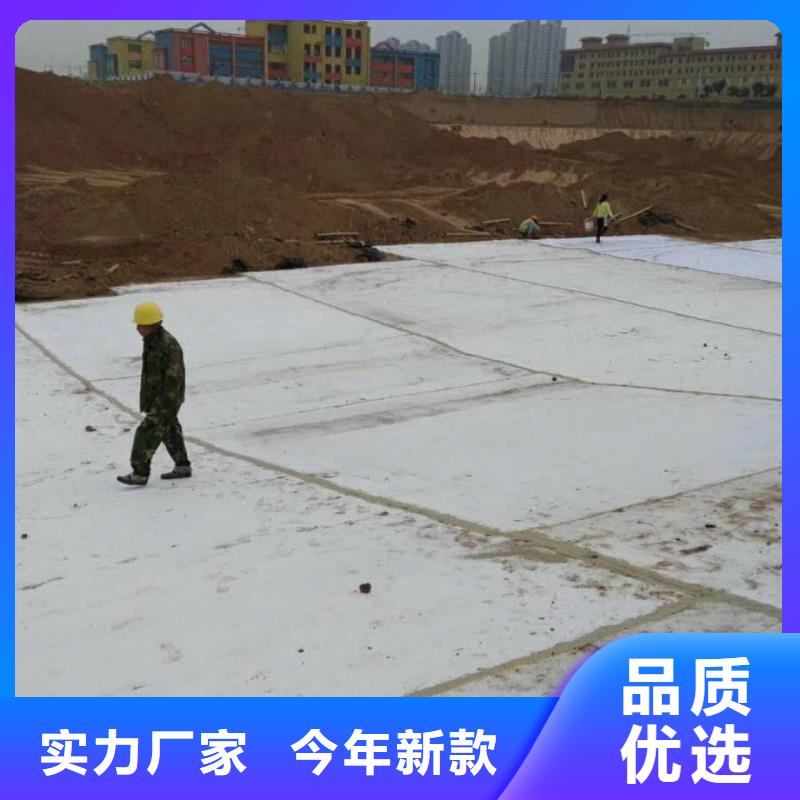 防水毯雙向塑料土工格柵買的放心安興用的舒心
