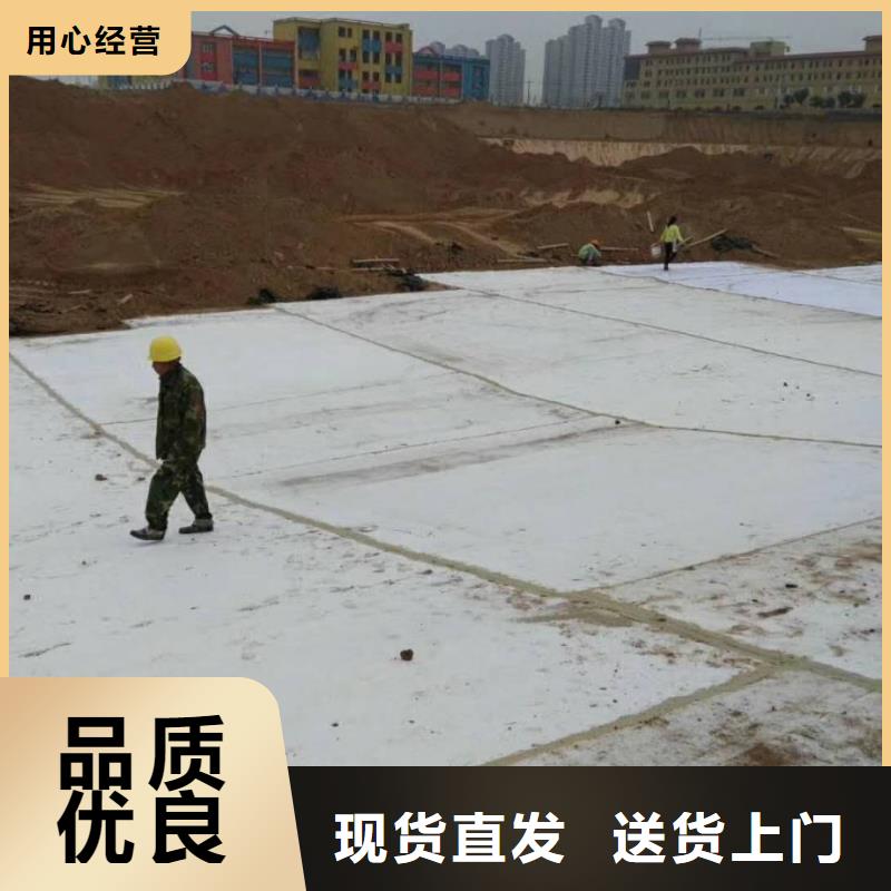防水毯膨潤土防水毯有口皆碑