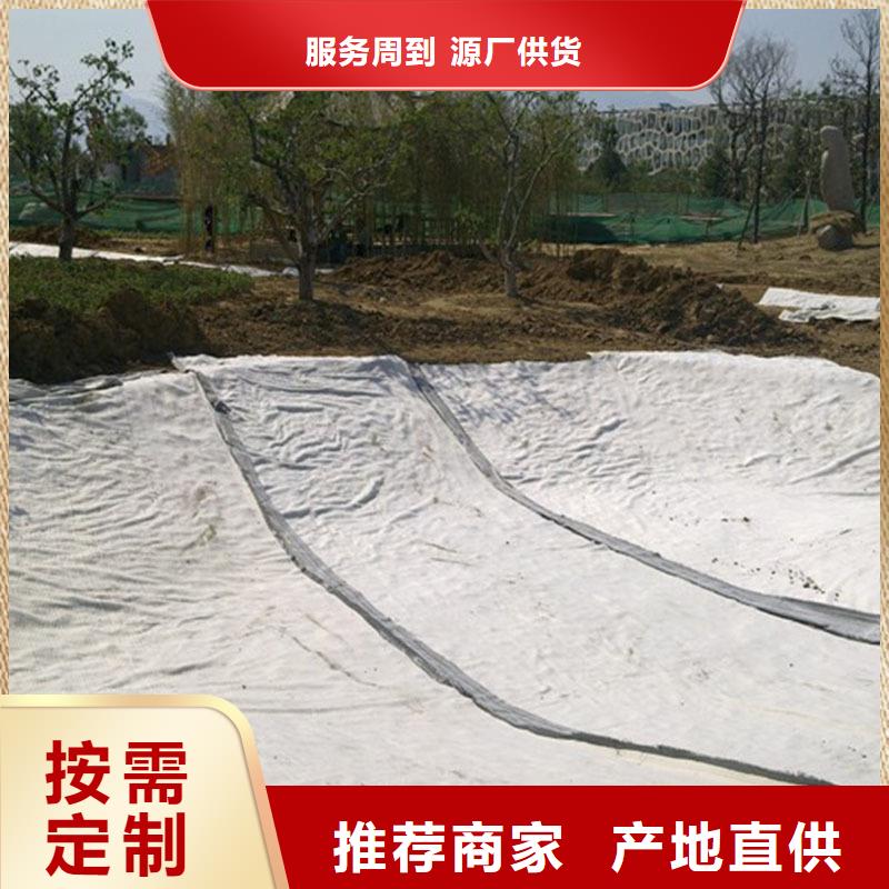 防水毯玻纤土工格栅种类丰富