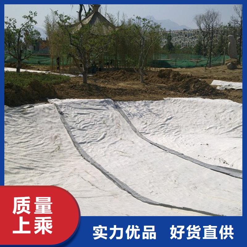防水毯雙向塑料土工格柵買的放心安興用的舒心